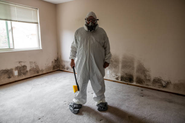 Best Mold Damage Restoration  in Heath, OH